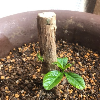 2018-7-17.jpg