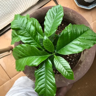 2018091202.jpeg