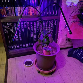20181104-2.jpeg