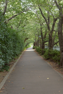 20190930-3.JPG
