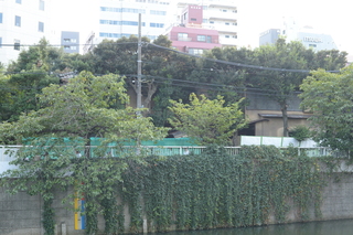 20190930-5.JPG