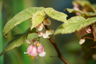20191203-10.JPG