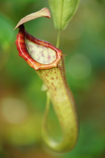 20191203-3.JPG