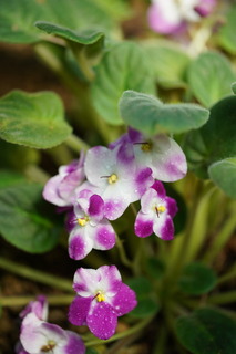 20191203-7.JPG