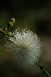 20191203-8.JPG