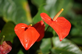 20191203-9.JPG