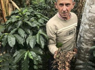 Colombia COE2017.png