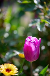 D4S_8162.jpg