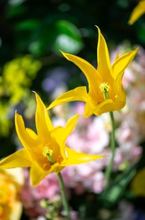 D4S_8167.jpg