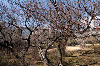 DSC01613.jpg
