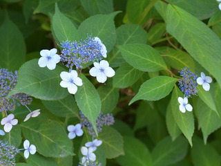 DSC_0097.JPG