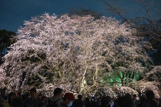 DSC_0106-1.jpg