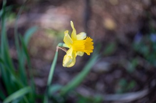 DSC_0139.jpg