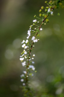 DSC_0141.jpg