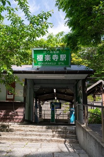 DSC_0564.jpg