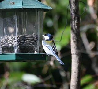 DSC_1226_Original.JPG