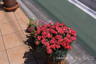 IMG_4739-2.jpg