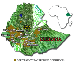 Map.png